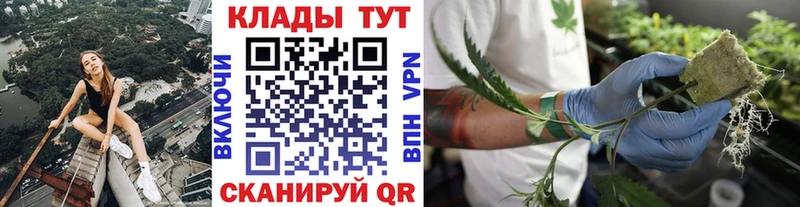 Где купить Чудово Бошки Шишки Галлюциногенные грибы МЕФ APVP АМФЕТАМИН